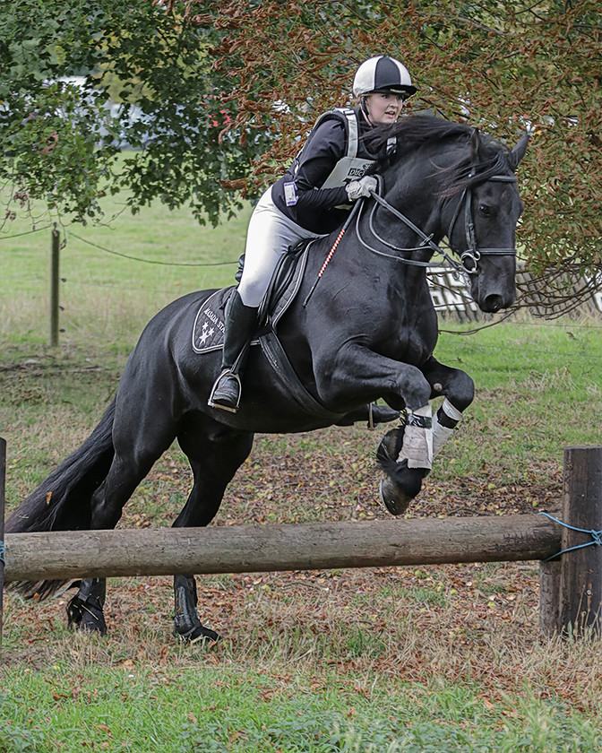 Equestrian-Jump