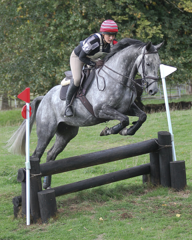 Horse-Jumping-Fence