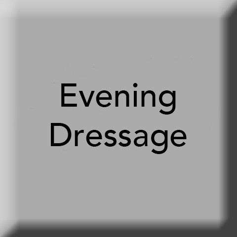 Evening Dressage