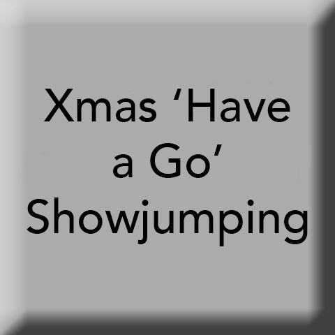 Have a Go Indoor Unaffiliated Showjumping Christmas Special