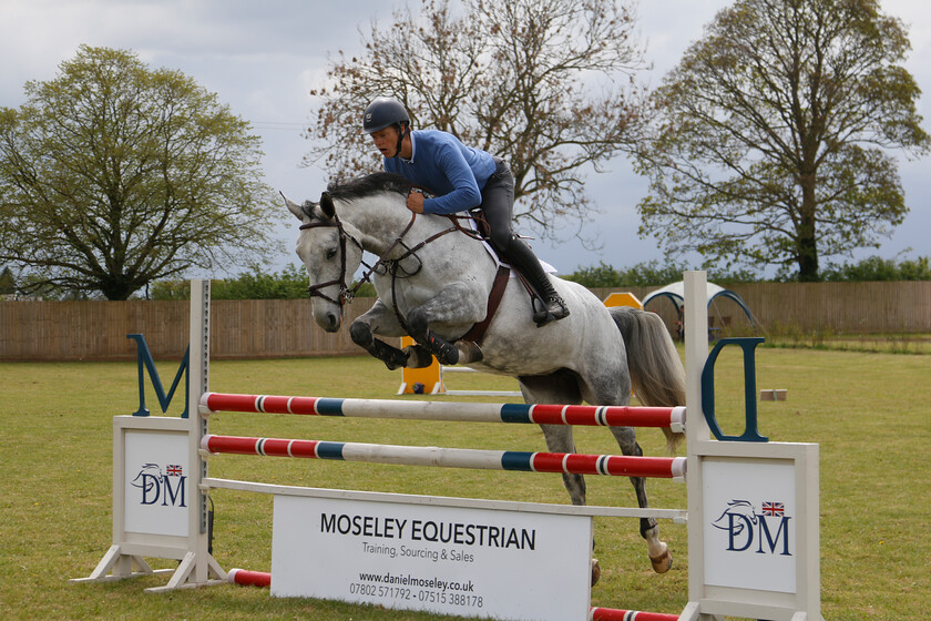 Showjumping equestrian